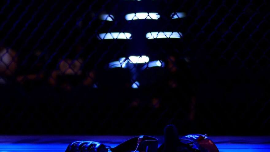 UFC яна Парижда турнир ўтказади