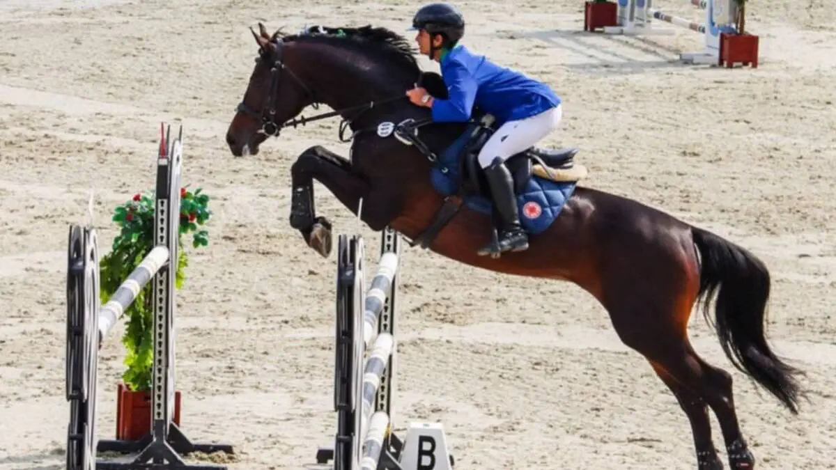  Sportining to‘siqlardan sakrash (show jumping) yo‘nalishi bo‘yicha musobaqalar nihoyasiga yetdi