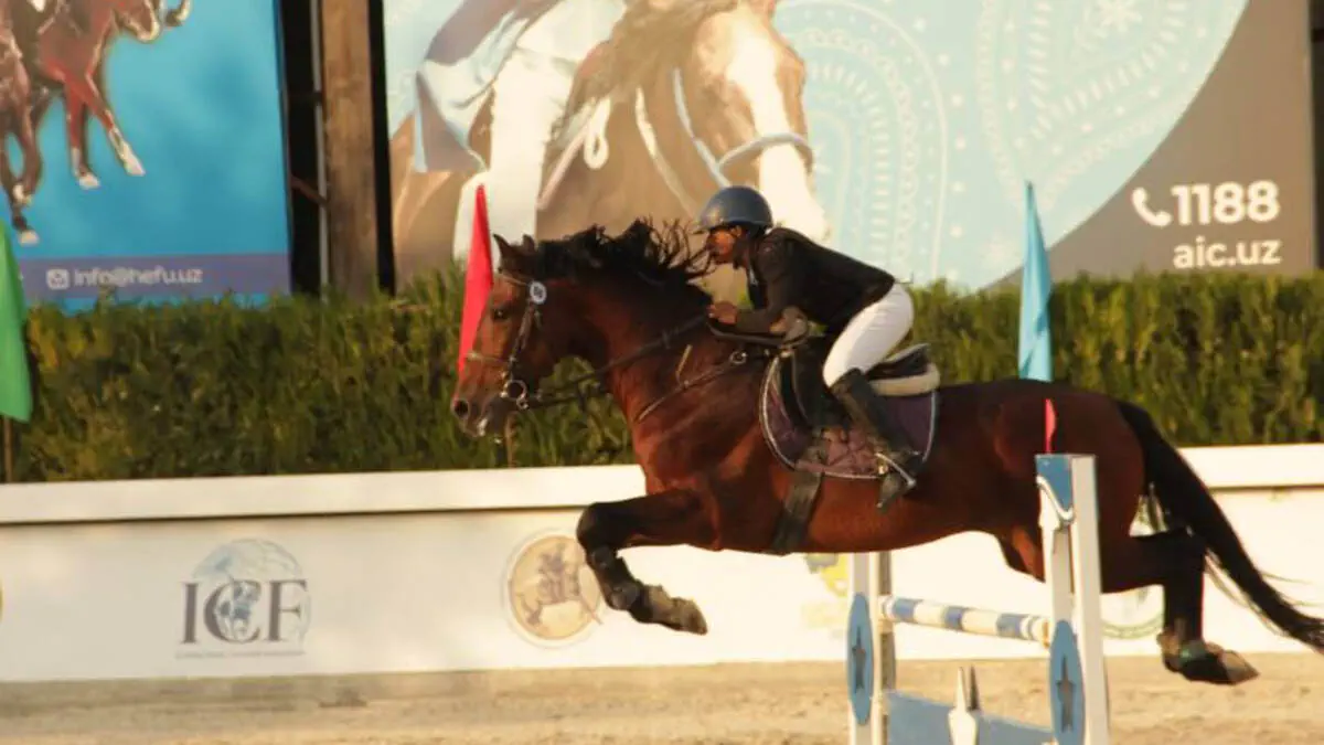 Ot sporti bo‘yicha to‘siqlardan sakrash turi — FEI Jumping World Challenge 2025 musobaqasining 1-bosqichi yakunlandi.