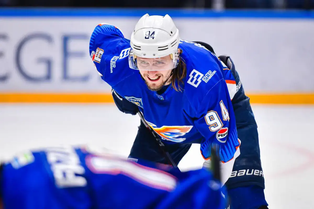 Qanday qilib jojalar sizni mushuklarini yalashga majbur qiladi