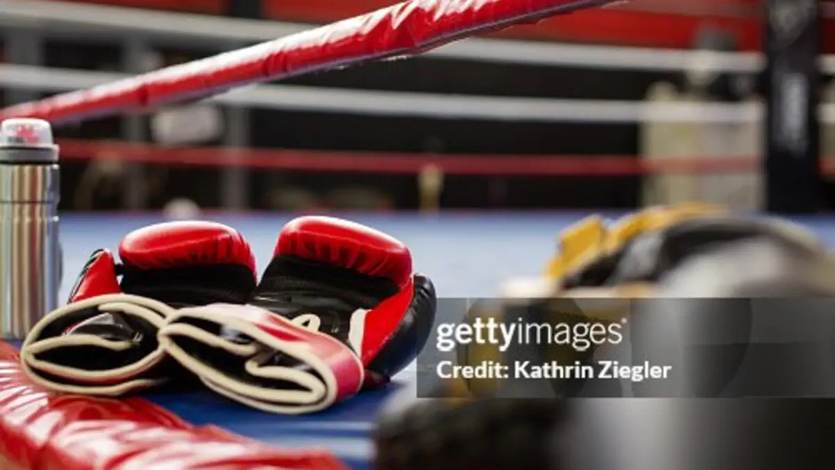Boks. World Boxing tashkiloti kubogi bahslarining 2025 yilgi bosqichi yakunlandi