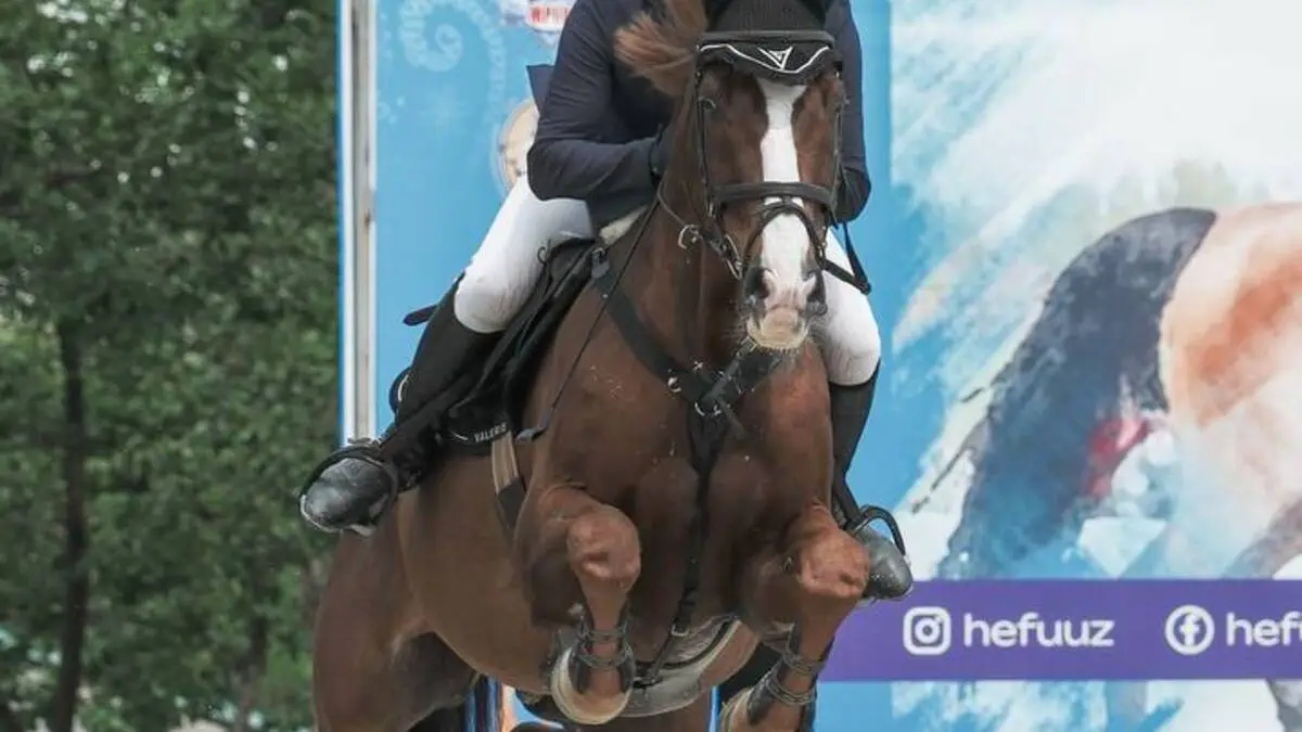 Ot sporti. O‘zbekiston chavandozlari BAAning Fujayra shahridagi CSI3* musobaqasida ishtirok etadi