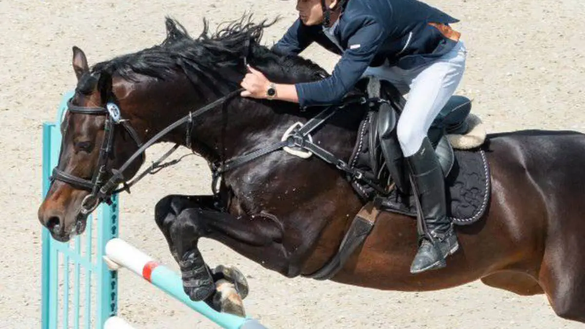 Ot sporti. To‘siqlardan sakrash (show-jumping) bo‘yicha O‘zbekiston terma jamoasi a’zosi Sharipov Akbar tomonidan muhim tarixiy natijaga erishildi