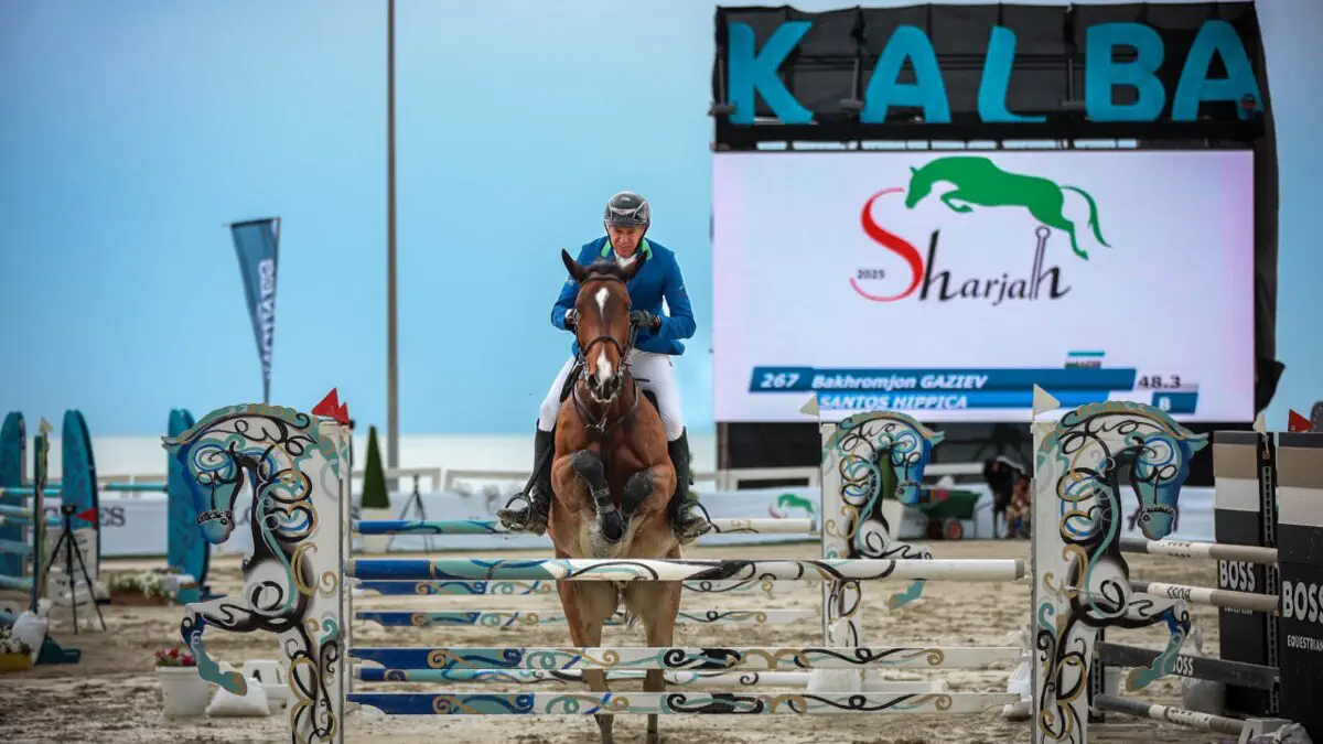 Chavandozlarimiz Sharjadagi turnirda 2 ta medalga sazovor boʻlishdi