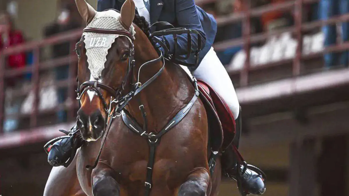 Abu-Dabida ot sportining to’siqlardan sakrash sport turidan xalqaro darajadagi CSI5* musobaqasi bo’lib o’tadi