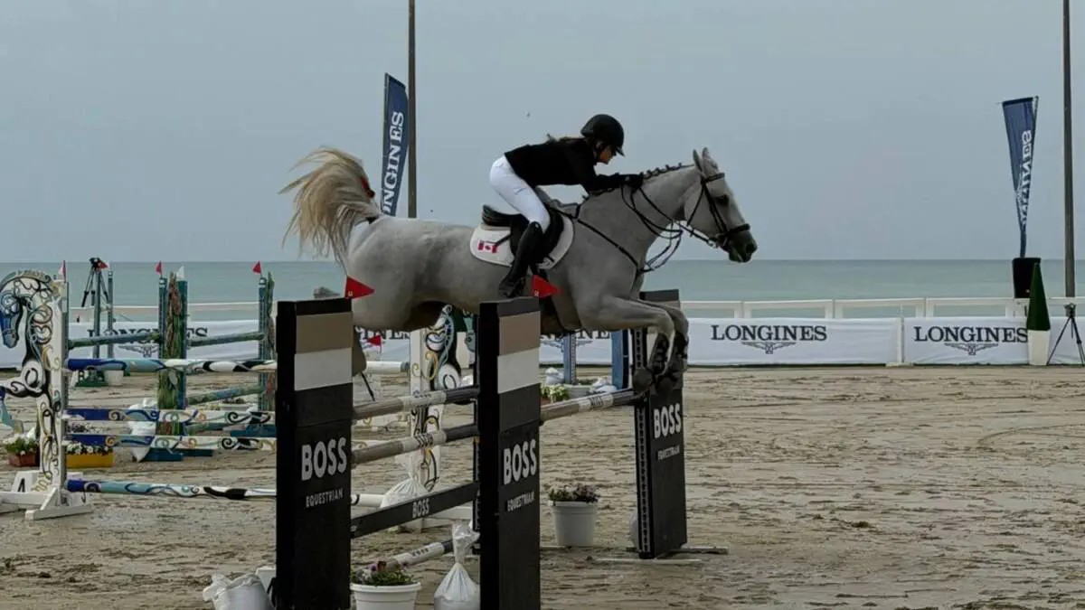 13–16 yanvar kunlari Abu-Dabi (BAA) shahrida, FBMA bazasida FEI homiyligida CSI 2* darajasidagi xalqaro ot sporti musobaqasi boshlandi