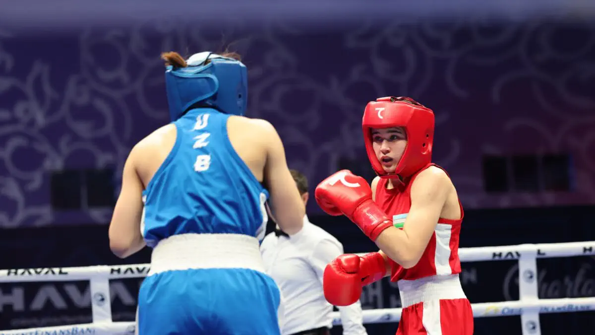 Boks boʻyicha Oʻzbekiston chempionati boshlandi