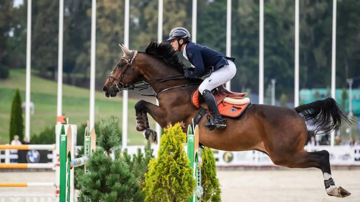 Ot sporti. BAA davlati — Sharq ot sportining markazi