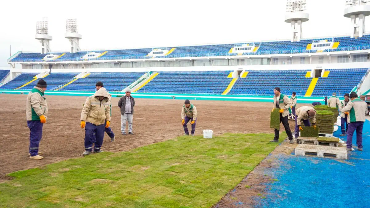 Qarshidagi Markaziy stadionda yangi chim yotqizish ishlari boshlandi