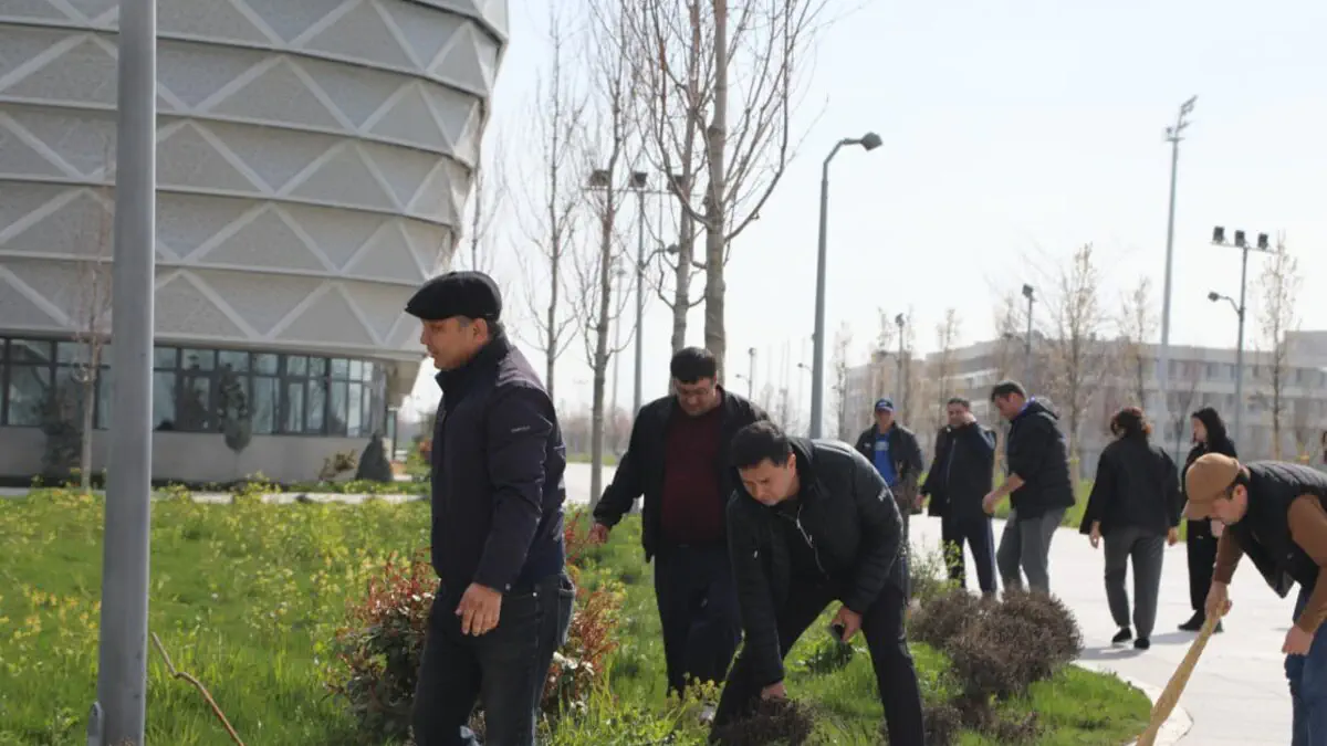 Olimpiya shaharchasi hududida umumxalq hashari o‘tkazildi