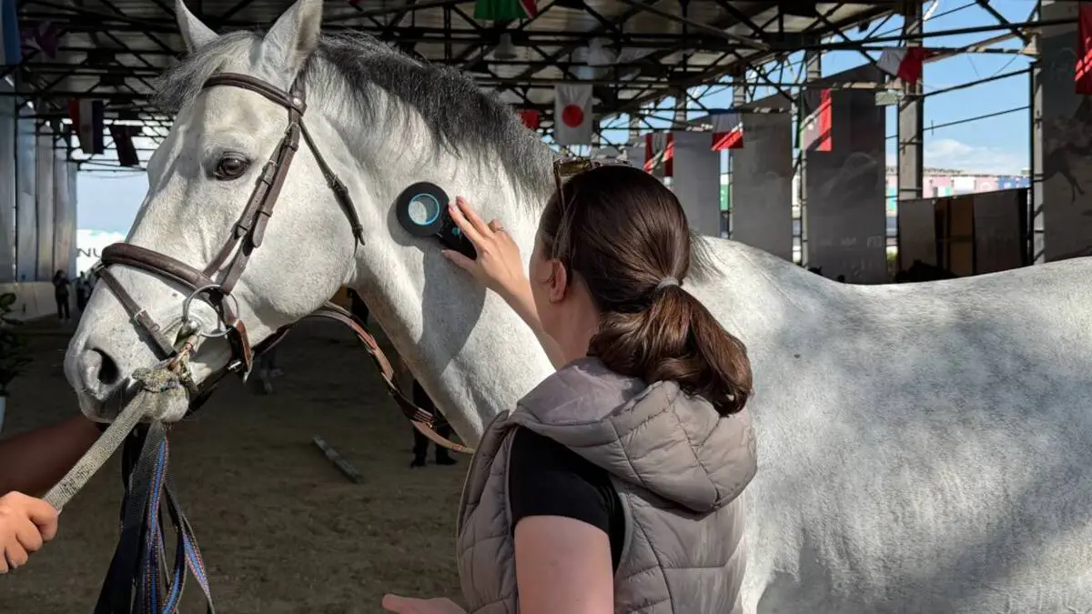 Ot sportining to'siqlardan sakrash turi bo'yicha kattalar o'rtasida yakkalik-jamoaviy O'zbekiston chempionati